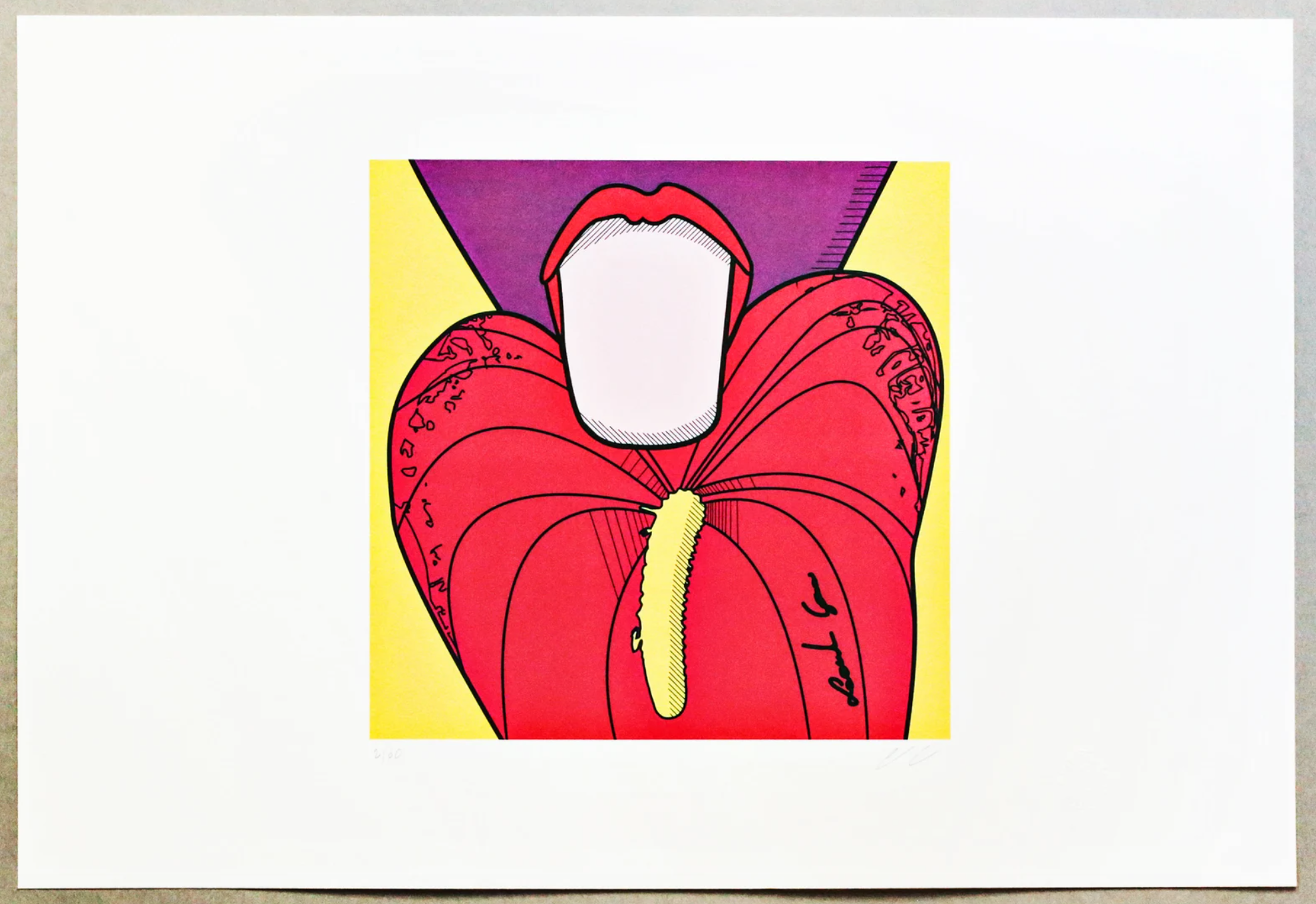 Anthurium. Collectible work of art. Fine art print. Leonardo Glauso (1989)